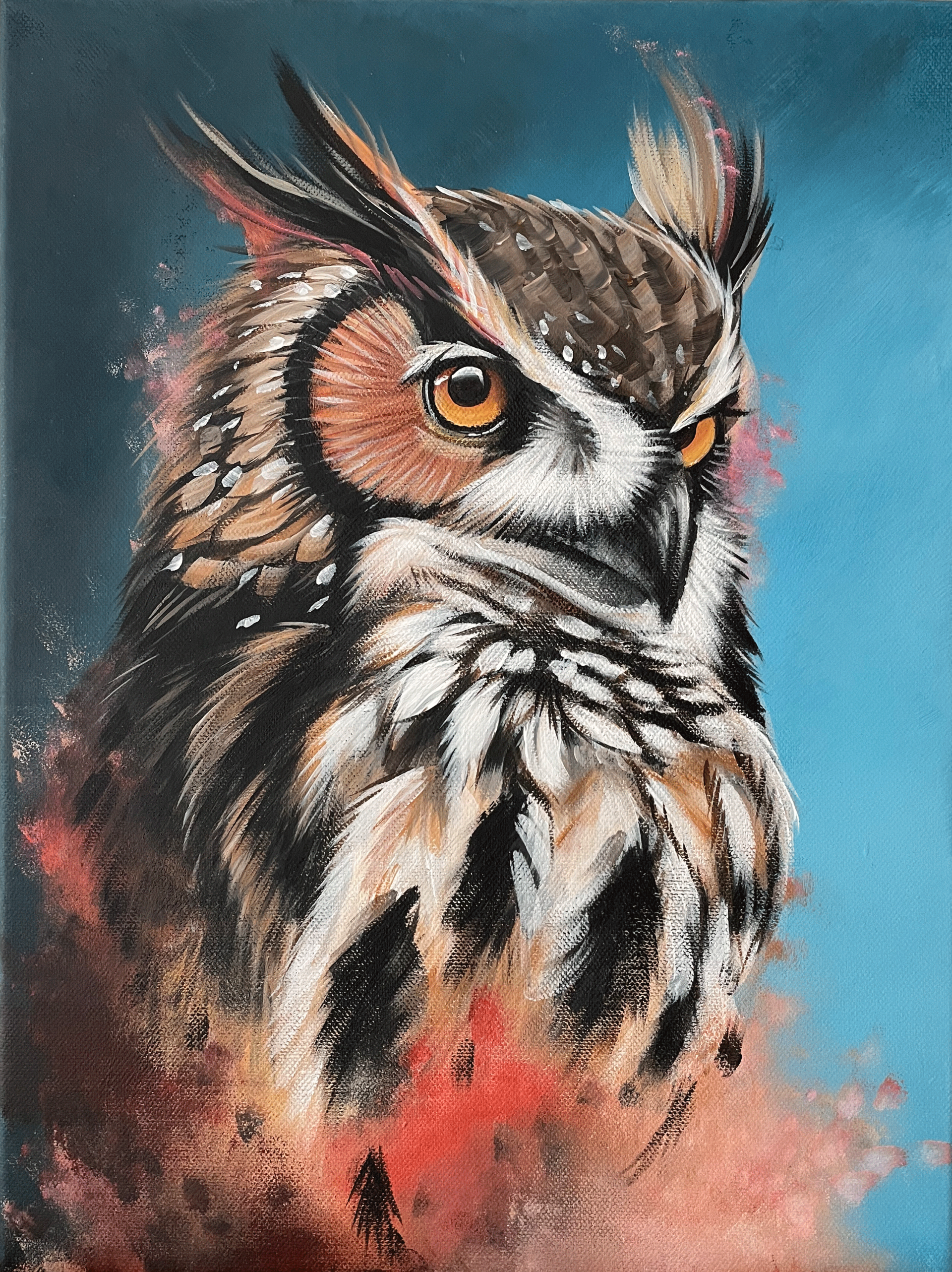 Eule auf Türkis-Rot